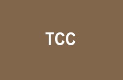 Acesso a Documentos e Espaço para Professores e Tutores TCC