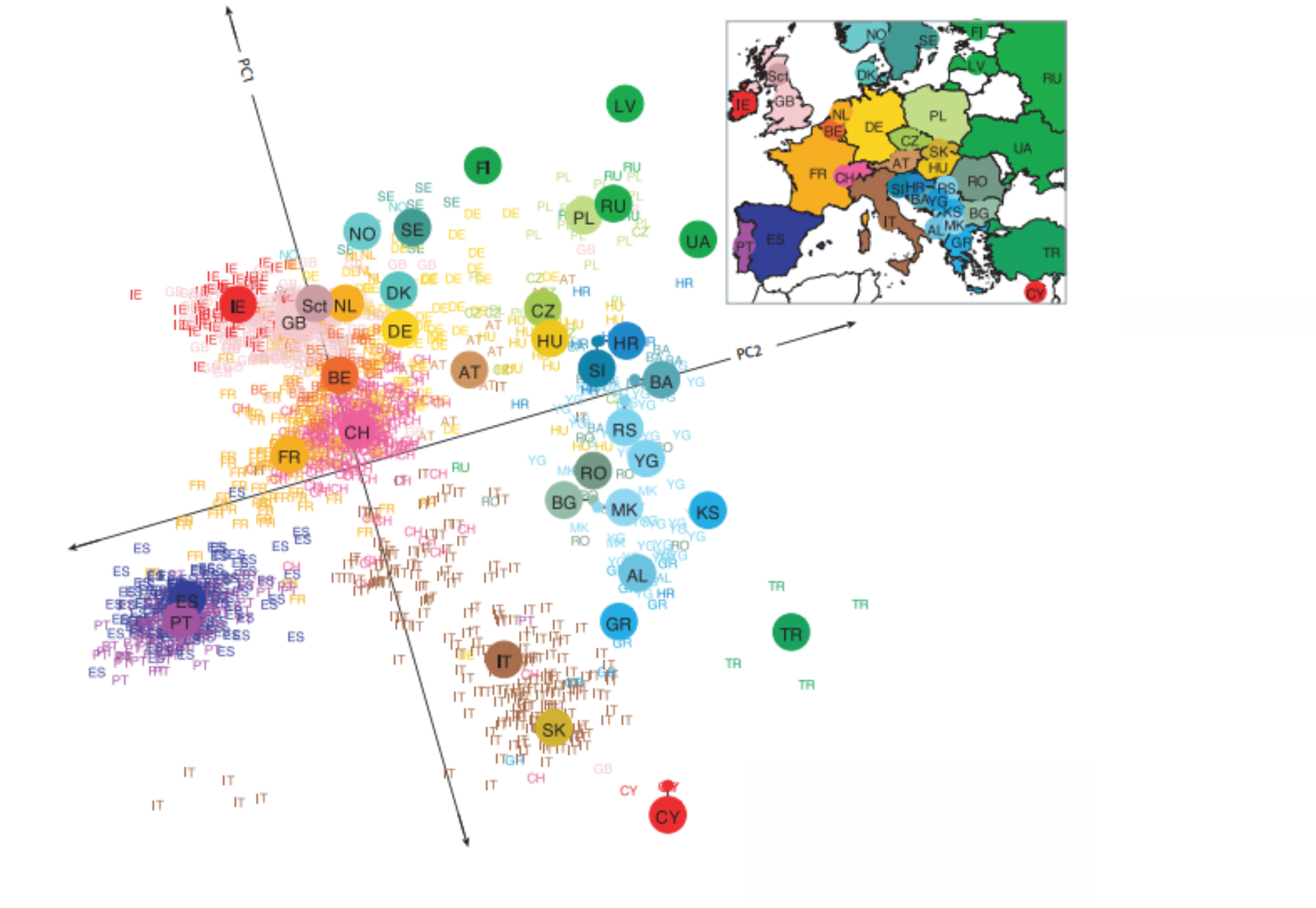 Estrutura no continente europeu analisada com SNPs.