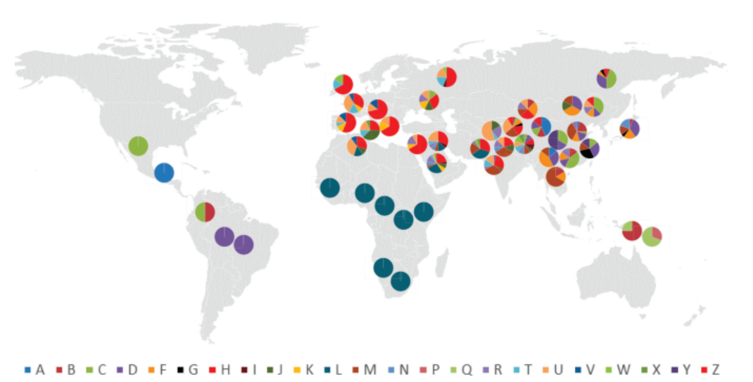 Distribuição de haplogrupos do DNAmt no mundo.