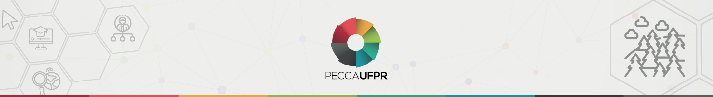 Imagem de cabeçalho com logo do PECCA no centro.